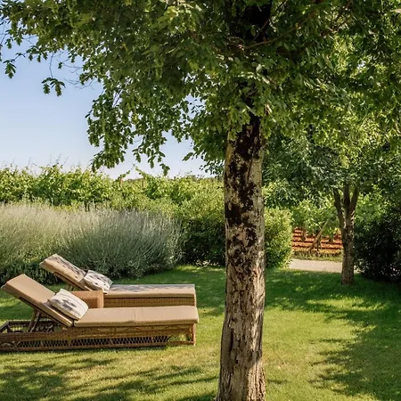 Meneghetti Wine And Winery - Relais & Chateaux Bale