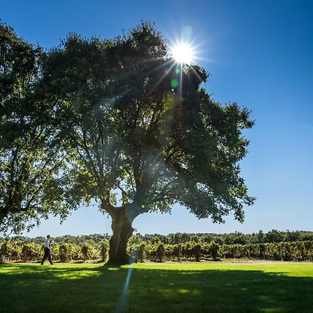 Hotel Meneghetti Wine Hotel&winery - Relais&chateaux 5*