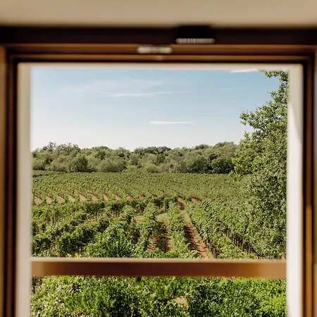 Meneghetti Wine And Winery - Relais & Chateaux Hotel